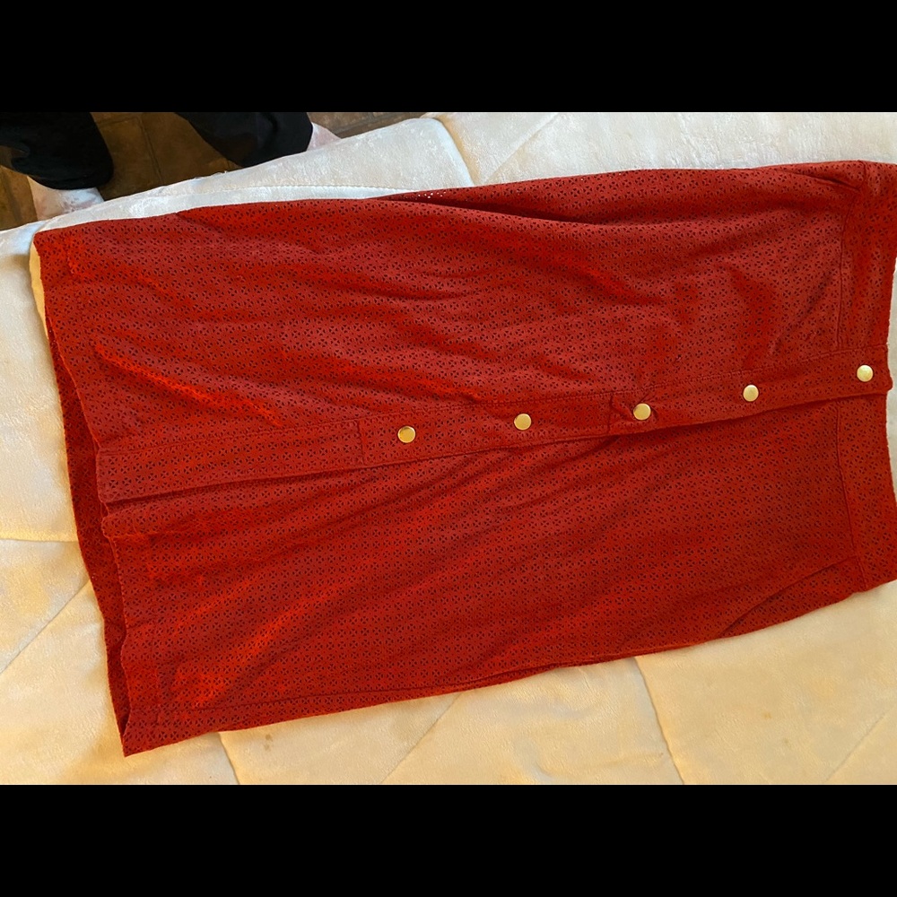 Casual wear skirt. Brick color